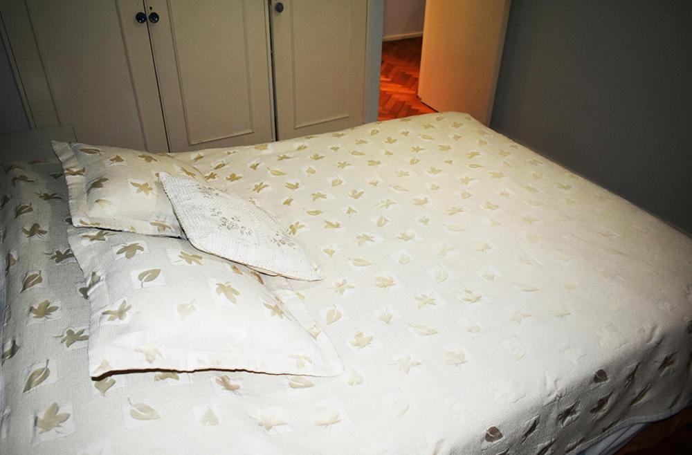 Apartamento Entero En Av Libertador Apartment บัวโนสไอเรส ภายนอก รูปภาพ